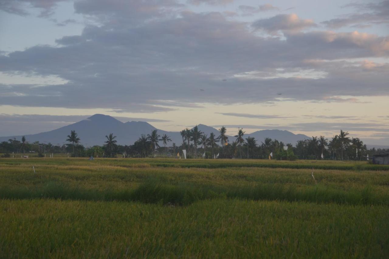 Bali Harmony Retreat Aparthotel Canggu  Bagian luar foto